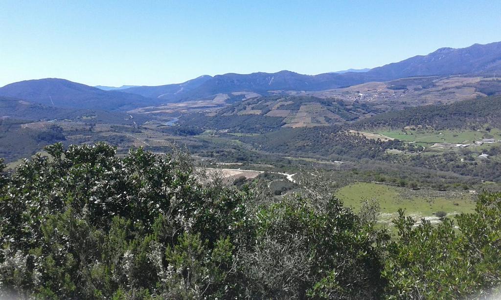 Hotel Rural Sierra De Francia Sotoserrano エクステリア 写真